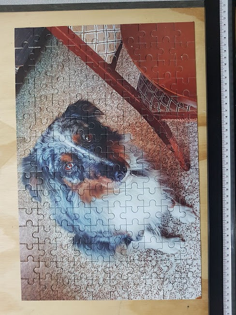 Rompecabezas Tabloide de iman y carton